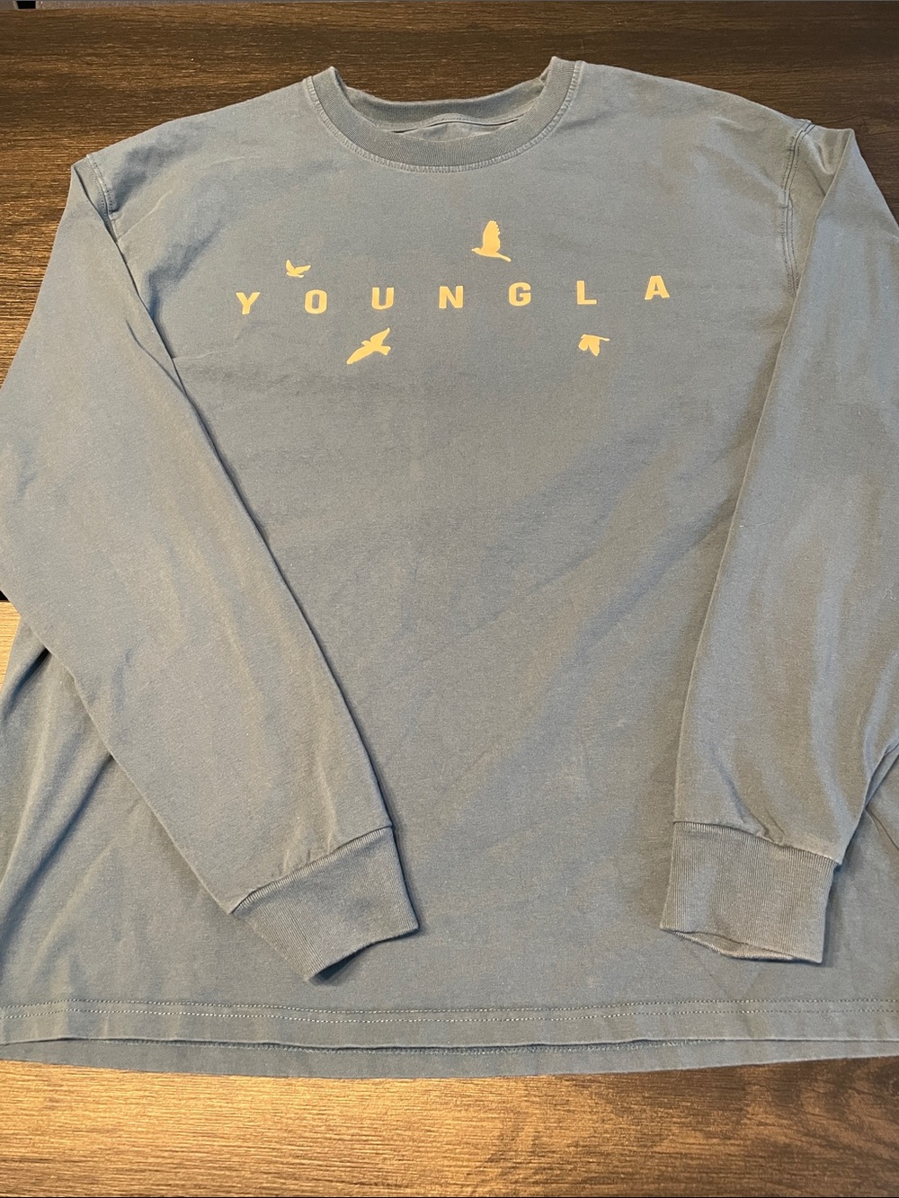 YoungLA Dusty Blue Long Sleeve Tee with Bird Logo